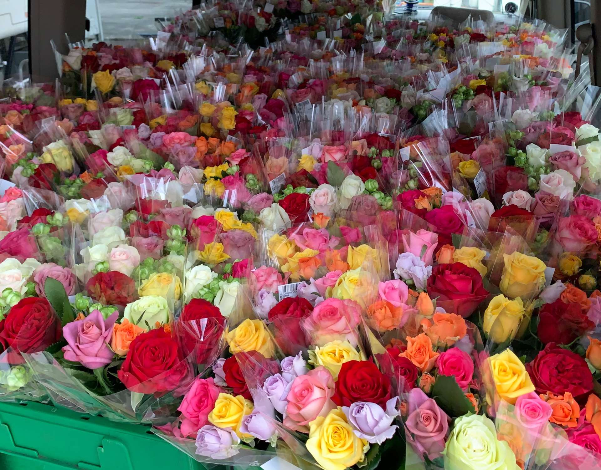 【バラの通販専門店】愛妻の日！！ウオロクで販売しますよ！｜花プラン
