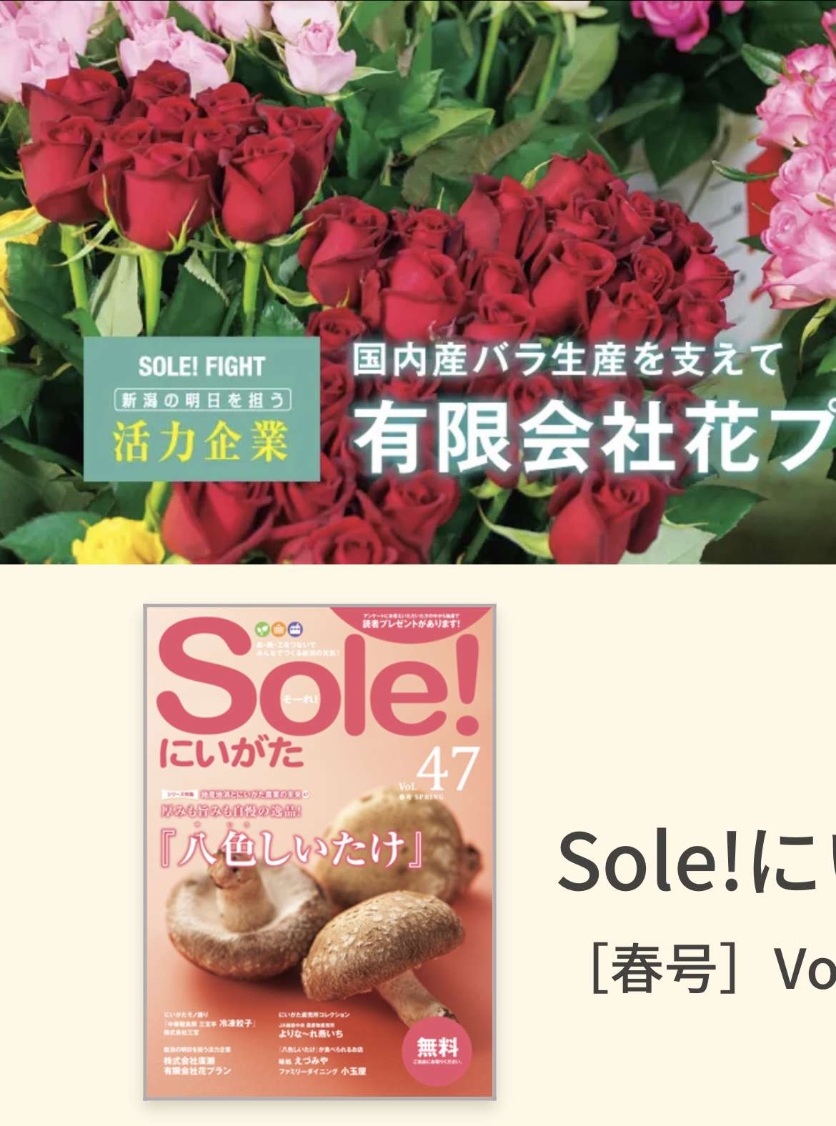 【バラの通販専門店】sole!にいがたvol.47に掲載されました｜花プラン